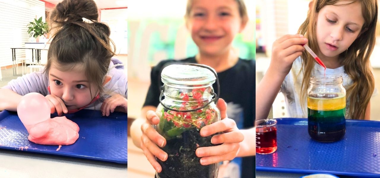 Adorable puppy at doggy daycamp in CT
